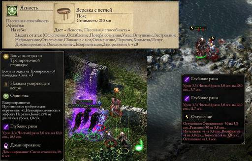 Pillars of Eternity - «Pillars of Eternity»  - впечатления нуба (часть шестая)